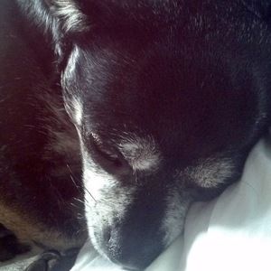 Meet your Posher, Ellen